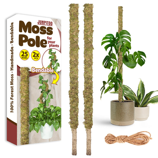 JUNPITOO Moss Poles for Climbing Plants (2 Pack 25 Inches- Bendable) - 100% Forest Sphagnum Moss Sticks - Slim Plant Stakes for Small and Medium Potted Plants Indoor, Monstera, Pothos.
