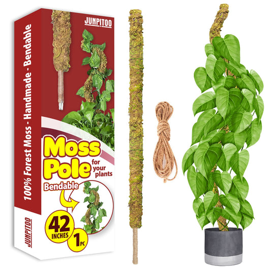 JUNPITOO Tall Moss Poles for Climbing Plants (42 inch Bendable) - 100% Forest Sphagnum Moss Sticks - Slim Plant Stakes for Small and Medium Potted Plants Indoor, Monstera, Pothos ( Long Size, Pack 1)